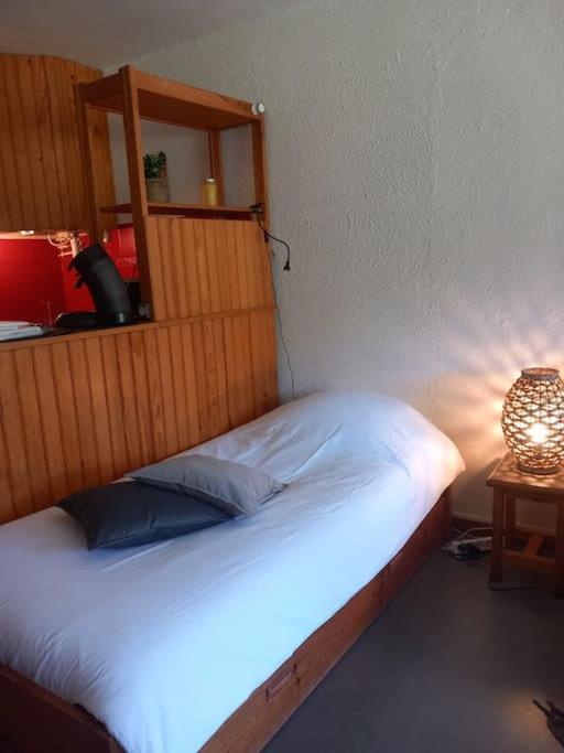 Apartment Le Lioran - Tour Sumene *