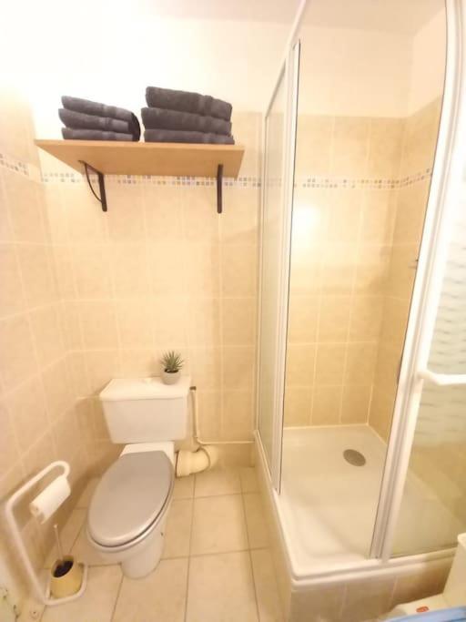Le Lioran - Tour Sumene Apartment *